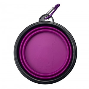 Portable silicone collapsible pet patera