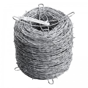 High reputation Concertina Wire Fence - Double twisted chain link fence top barbed wire  – Linhai