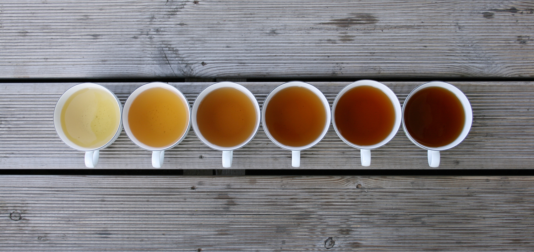 Tipos de té: ¿Cómo clasificar el té en China?