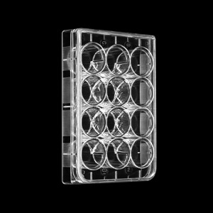 placa de cultura celular, 12 poços, transparente
