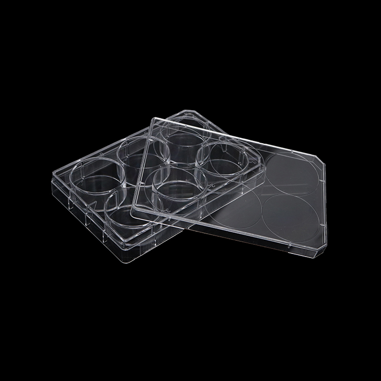placa de cultivo celular, 6 pocillos, transparente