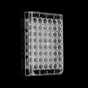 plaque de culture cellulaire, 48 puits, transparente
