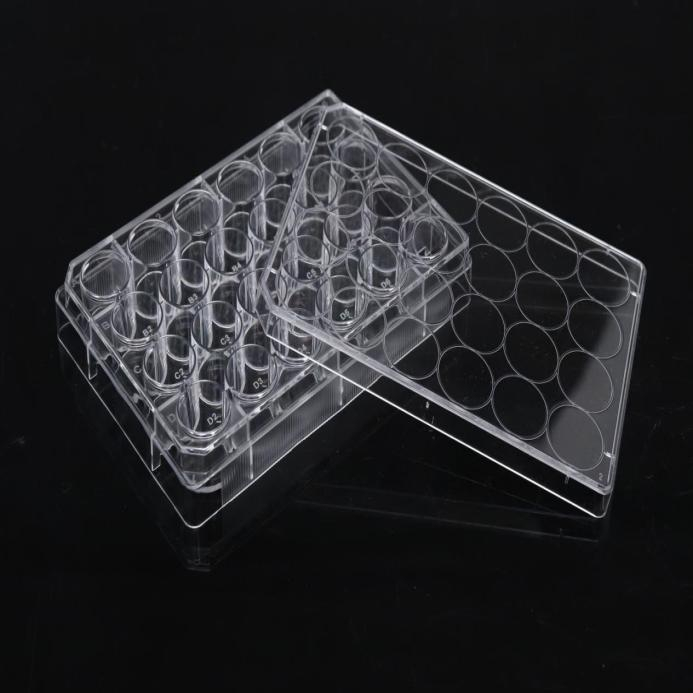 placa de cultura de células, 8 poços, transparente