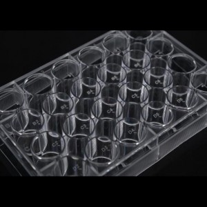 cell culture plate, 8wells, transparent