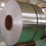 304 Stainless Steel Coil / Strip