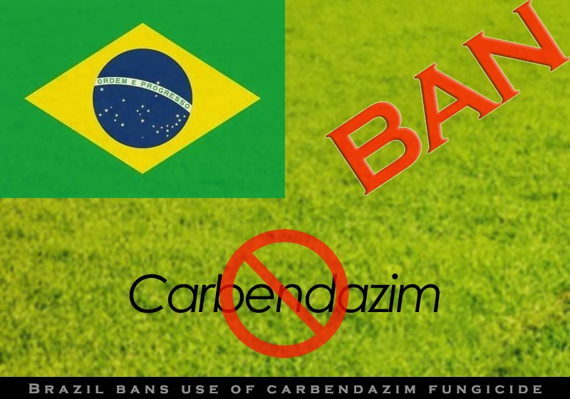 ブラジルがカルベンダジム殺菌剤の使用を禁止