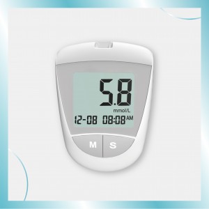 Blood Glucose Monitoring System-208