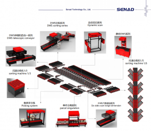 Automat Box Sorted Machine Dws System Машина для сортировки веса конвейерной ленты