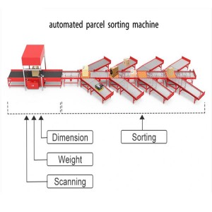 Определение размеров Взвешивание Системы сканирования Конвейер сортировки посылок Система Dws