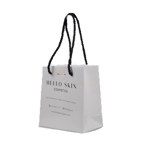 Ang Luxury Custom Logo Elegant Gamay nga Gift Packaging Art Paper Bag nga May Rope