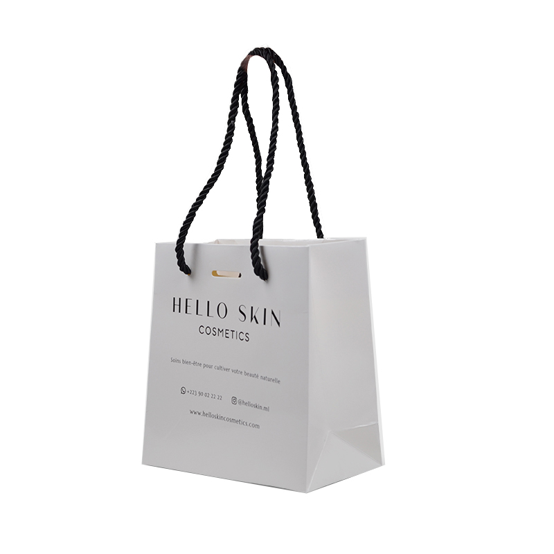 लक्ज़री कस्टम लोगो रस्सी के साथ सुरुचिपूर्ण छोटा उपहार पैकेजिंग आर्ट पेपर बैग