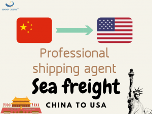 Senghor Logistics의 중국에서 미국까지의 전문 운송 대행 해상 운송 경제적인 요금