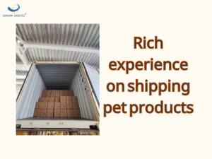 Containerfragtpris for forsendelse af kæledyrsprodukter fra Kina til Sydøstasien af ​​Senghor Logistics