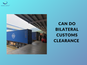 FCL LCL leverans dörr till dörr från Kina till Singapore av Senghor Logistics
