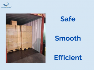 Senghor Logisticsによる中国からタリン・エストニアへの貨物輸送サービス