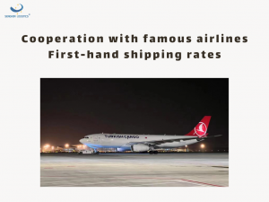 Solucións loxísticas sinxelas de transporte de carga aérea de China a Australia por Senghor Logistics