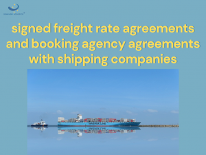 Námořní přeprava z Číny do Dánska Ekonomické sazby od Senghor Logistics