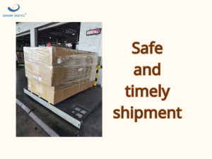 Stawka za transport kontenerowy w przypadku wysyłki produktów dla zwierząt domowych z Chin do Azji Południowo-Wschodniej przez Senghor Logistics