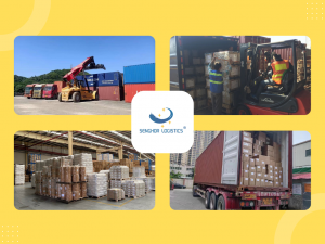 Senghor Logistics가 제공하는 베트남에서 미국까지의 국제 해상 운임