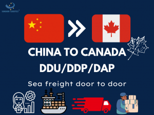 Zeevrachtdienst van deur tot deur (DDU/DDP/DAP) van China naar Canada door Senghor Logistics