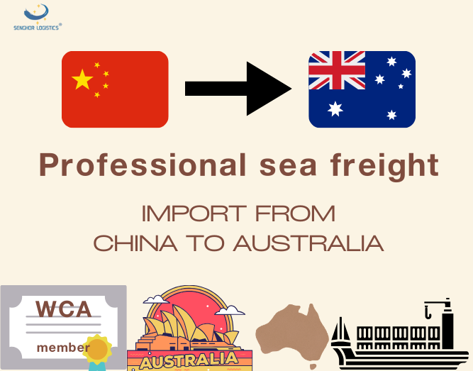 Professionele seevrag invoer van China na Australië deur Senghor Logistics