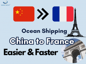 Oseaanvragagentskap China na Frankryk deur Senghor Logistics