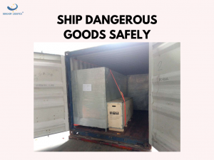 Skema pengiriman barang berbahaya (Kendaraan Energi Baru & Baterai & Pestisida) dari Tiongkok oleh Senghor Logistics
