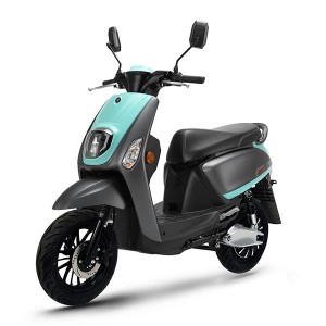 Good Wholesale Vendors Cheap Scooter - EPA 2021 ADULT HIGH SPEED 1500W ELECTRIC BIKE/ MOTORCYCLES/ SCOOTERS WITH PEDALS DISC BRAKE – Senling
