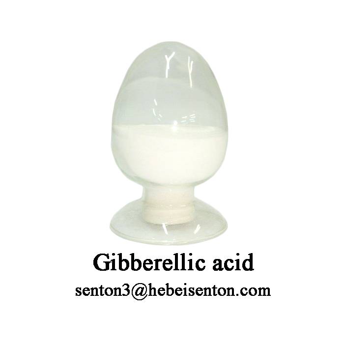 High Quality Crystalline Powder Gibberellic acid