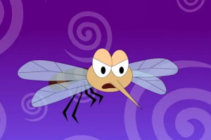 Welches Mückenschutzmittel ist das sicherste und wirksamste?
