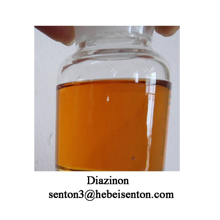 Nonsystemic Organophosphate Insecticide Diazinon