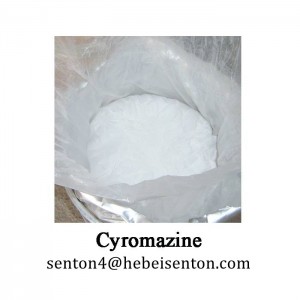 រារាំងការលូតលាស់របស់ Larval និង Pupal Cyromazine
