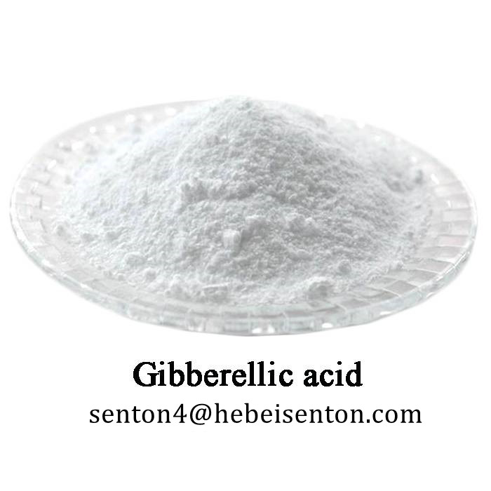 Natural Plant Hormone Gibberellic acid
