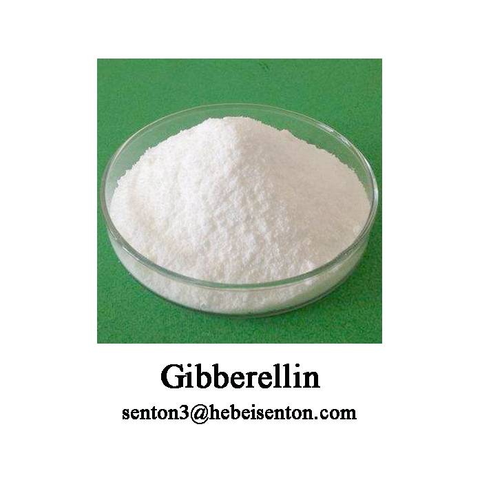White Crystalline Powder Gibberellic Acid