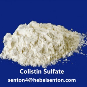 Effectus VETERINARIUS medicamento Colistin Sulfate