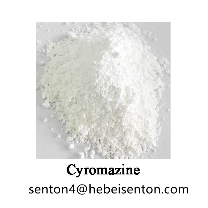 Imagen destacada de ciromazina ampliamente utilizada de gran calidad