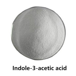 Iaa Manifakti Agrochemicals Pestisid 98% Tc Iaa Indole-3-Acetic Asid