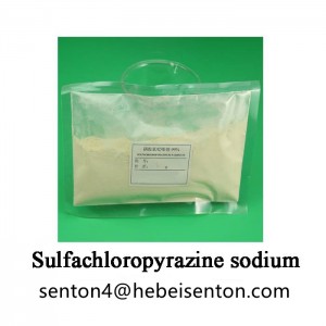 Sulfachloropyrazine Soudium មានប្រសិទ្ធភាពខ្ពស់។