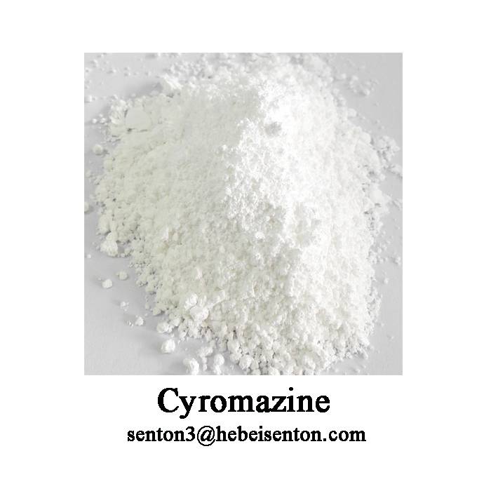 Great Quality Widely Used Cyromazine