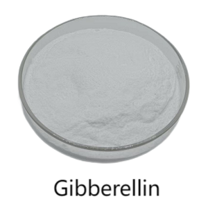 Yüksək keyfiyyətli bitki böyüməsi tənzimləyicisi Gibberellin CAS 77-06-5