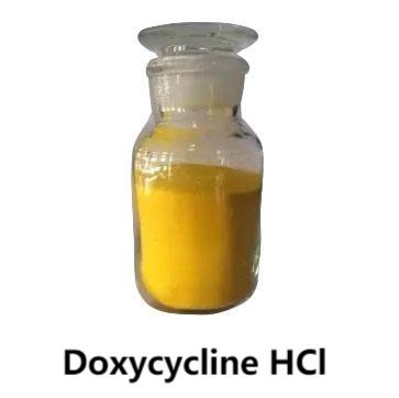 சிறந்த விலையுடன் கூடிய உயர்தர டாக்ஸிசைக்ளின் HCl CAS 24390-14-5