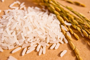 De internationella rispriserna fortsätter att stiga, och Kinas ris kan stå inför ett bra tillfälle för export