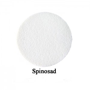GMP Μυκητοκτόνο Spinosad υψηλής ποιότητας με τιμή χονδρικής