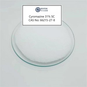 C a S 66215-27-8 Insektisida Cyromazine 98% Wp