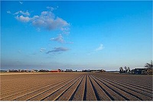 ポーランド、ハンガリー、スロバキア：ウクライナ産穀物の輸入禁止措置を継続する