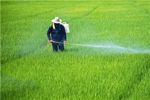 Application progress of neonicotinoid insecticides in pesticide compounding