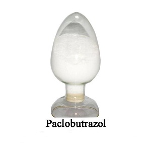 Hormona de crecimiento vegetal química para agricultura Paclobutrazol 95%TC 25%SC