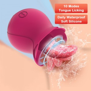 Rechargeable Silicone 10 Vibration Modes Rose Wand Tongue Licking Breast Clitoris Anus Vibrator for Women Sex Pleasure
