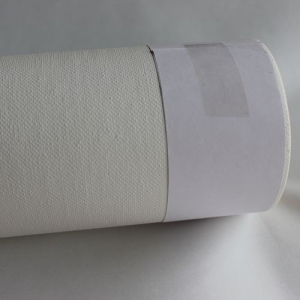 Signwell Wholesale Hot Popular 380g Inkjet Light Solvent Poly Cotton Fabric Artist Canvas Roll