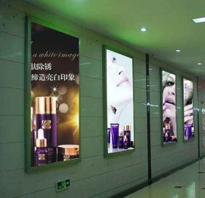 Outdoor Indoor Advertising Light Boxes Display Film Rolls PET Backlit Transparent Film for Light Box